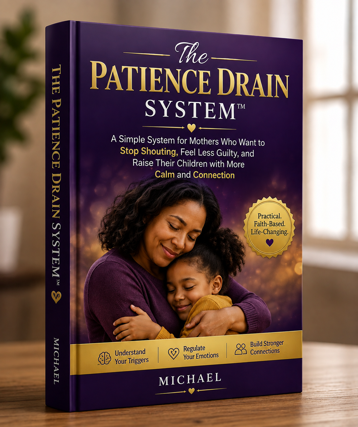 The Patience Drain System by Michael Brian, Book Cover